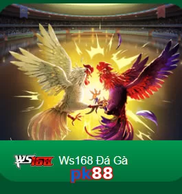 pk88
